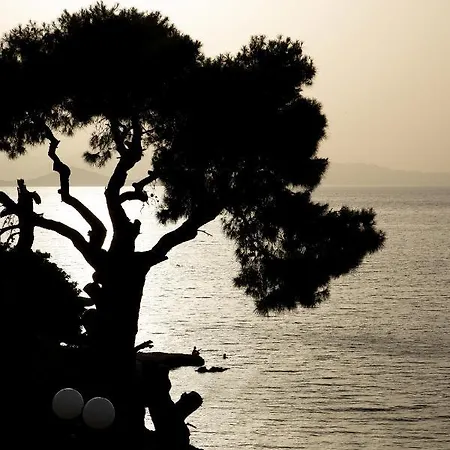 Irida's Sea Front With Astonishing View テオロゴス
